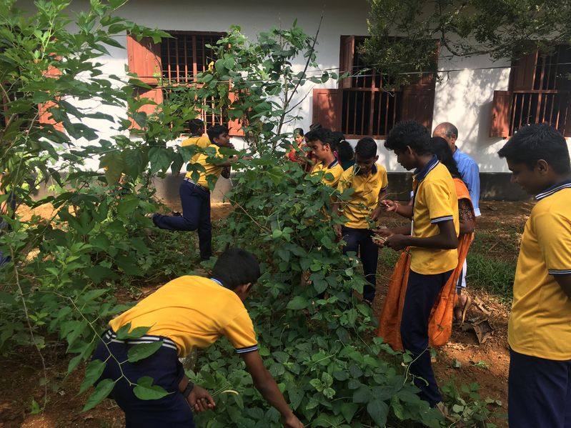 പ്രമാണം:28026 723.JPG