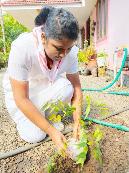 പ്രമാണം:35006 RC1.jpg