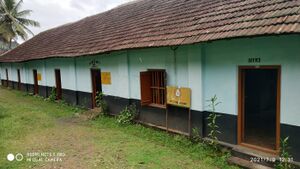 38622 1 MSCLPS (1).jpg