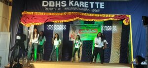 42056 DBHS ANNUAL DAY 1.2.jpg