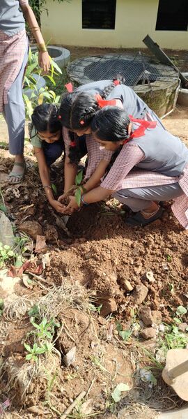 പ്രമാണം:44050 30 7 2025.jpeg