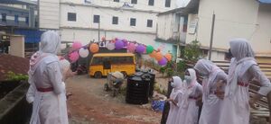 BS21 MLP 18069 5.jpg