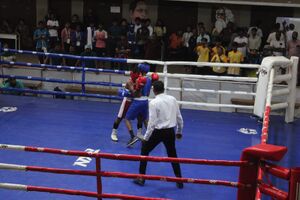 Ksk-2024-boxing-25049-Ghss Kadayiruppu-04.jpg