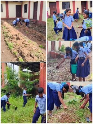 WhatsApp Image 2025-07-27 at 15.14.00.jpg