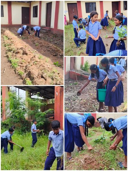 പ്രമാണം:WhatsApp Image 2025-07-27 at 15.14.00.jpg