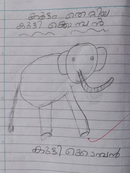 പ്രമാണം:12315-KGD-KUNJ-NABHAJITH A.jpg