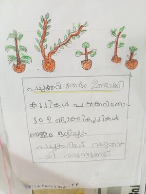 18302-MLP-KUNJ-RIZA FATHIMA T.P.jpg