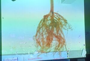 18364 HighTechPresenta.jpg