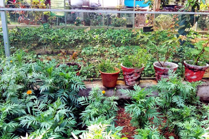 പ്രമാണം:20161123 134359AENBgvfdx.jpg