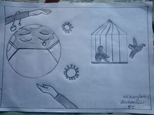 20351 - Niranjan V 5C.jpg