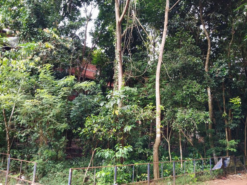 പ്രമാണം:36035 fc3.jpg