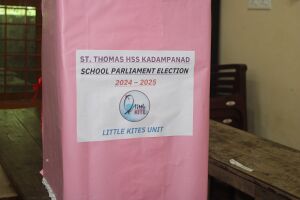 38102-ELECTION-P5.JPG