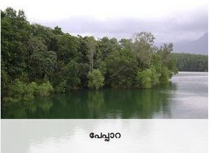 42560-പേപ്പാറ.png