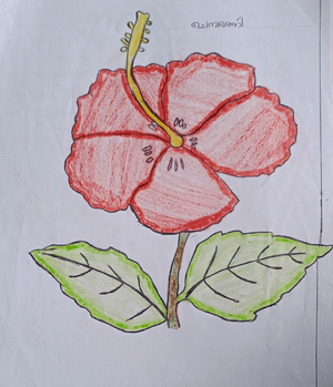 19865-MLP-KUNJ-MUHAMMED HABBANIB.png