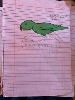 23545-TSR-KUNJ-ANSA ROSE.jpeg