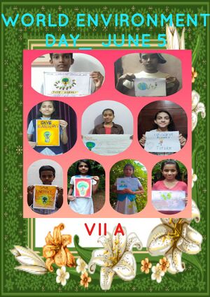 24071 ENVIRONMENT DAY72.jpg