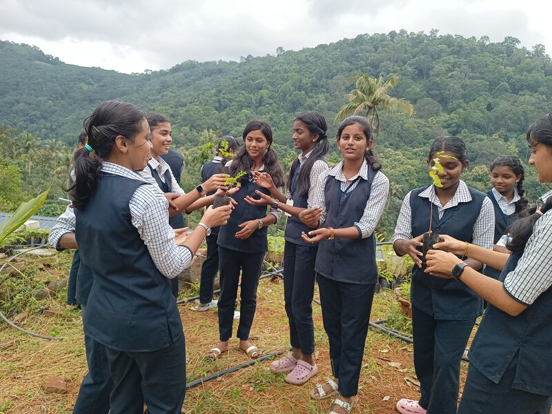 പ്രമാണം:32025 tree.jpg