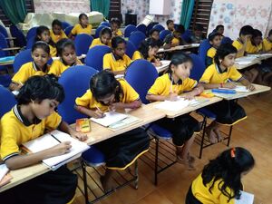 34317 Smart Yellow.resized.jpg