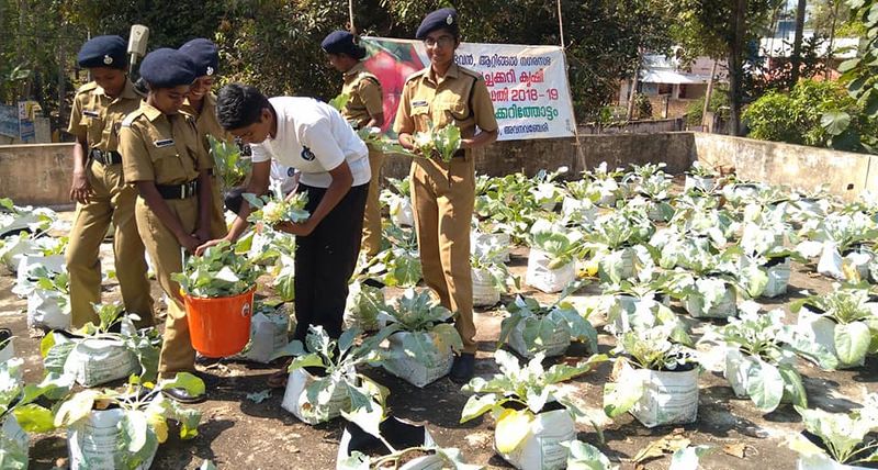 പ്രമാണം:42021 20001.jpg