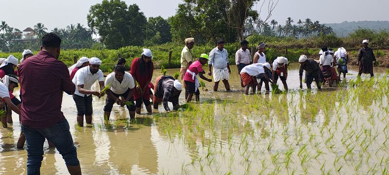 പ്രമാണം:44244 ssss nelpadam 2026 5.jpg