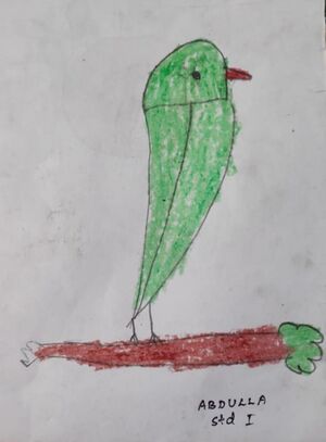 44333 TVM-KUNJ-ABDULLA STD 1ST.jpg