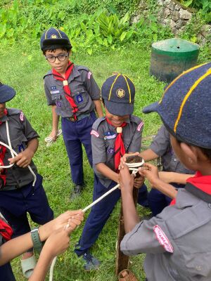 47469 cub activity.jpeg