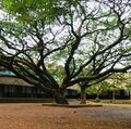 12:09, 28 ജനുവരി 2022-ലെ പതിപ്പിന്റെ ലഘുചിത്രം