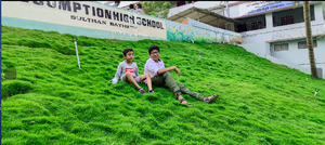 15051 school lawn.png