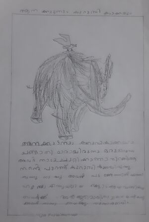 18212-MLP-KUNJ-NIYA FATHIMA UP.jpg