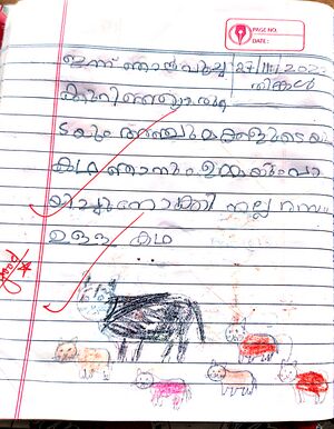 1867-MLP-KUNJ-ALI HASSAN.jpg