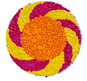 19359 mlp dp 2019 9.png