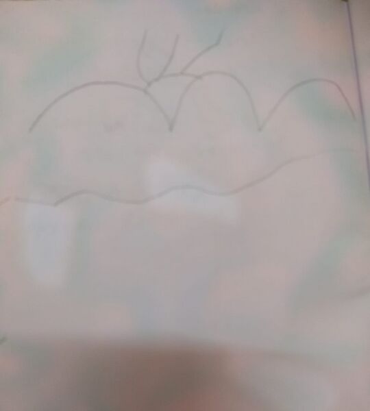 പ്രമാണം:19607-MLP-KUNJ-MUHAMMED NAFIH1.jpg