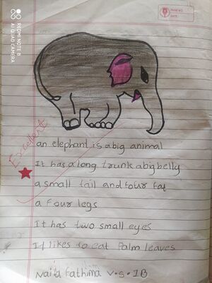 19811-MLP-KUNJ-NAIFA FATHIMA VS.jpeg