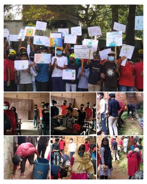 19879 noplastic.jpeg