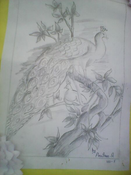 പ്രമാണം:21001 chitrasala1.jpg