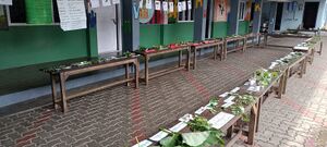 25044 LP Exhibition-oushadasasyam1.jpg