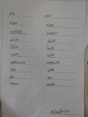 34334-ALP-KUNJ-ADIL SUNI.jpg