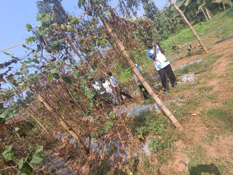 പ്രമാണം:38099 AGRI3.jpg