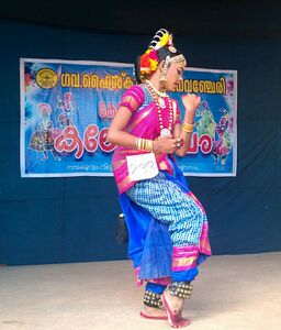 കലോൽസവ കാഴ്ചകൾ