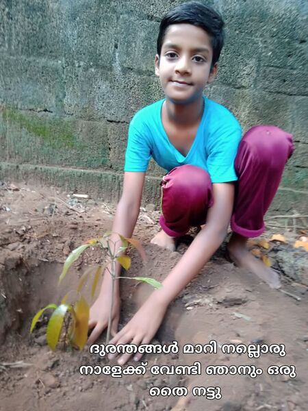 പ്രമാണം:44050 eco 73.jpeg