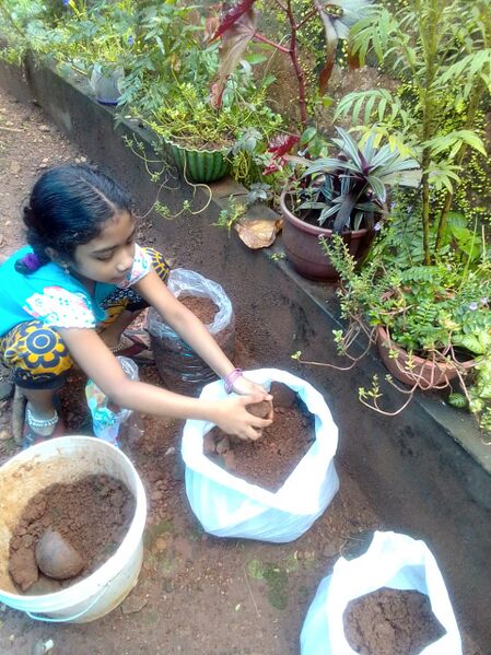 പ്രമാണം:48239 pachakkarithottam.jpeg