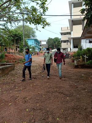 BS21 MLP 18072 5.jpg