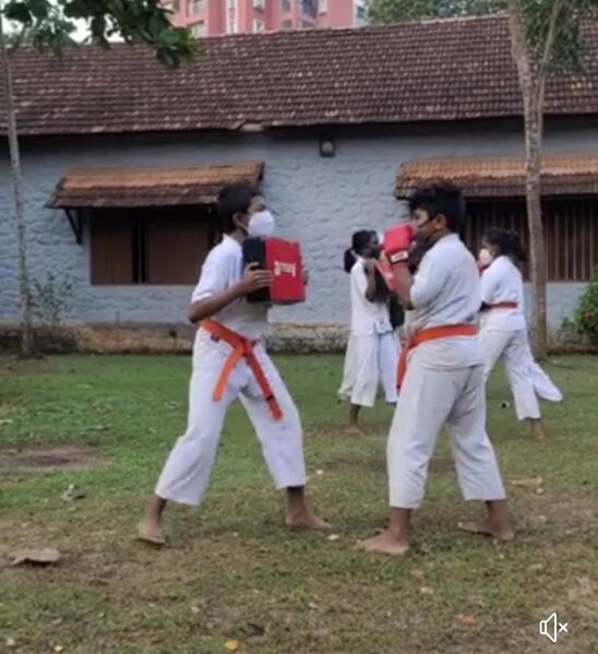 പ്രമാണം:Karatesahss.jpg