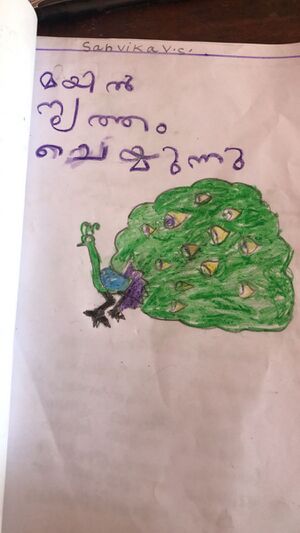 11041-KGD-KUNJ-SuNVIKA 1B.jpeg