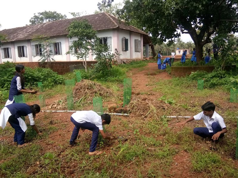 പ്രമാണം:12060 krishi 4.jpg