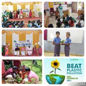 23223 Environment day.1.jpeg