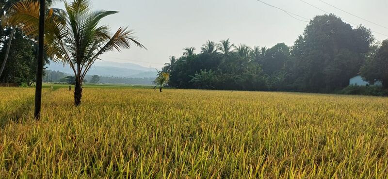 പ്രമാണം:24004 panjal village.jpg