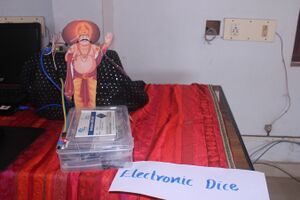 34046 FF2.resized.JPG