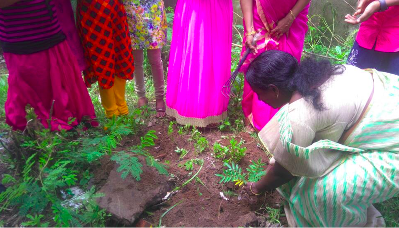 പ്രമാണം:41069 june5.png