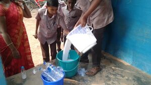 44055 Lotion 2018.resized.jpg